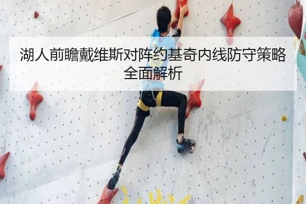湖人前瞻戴维斯对阵约基奇内线防守策略全面解析